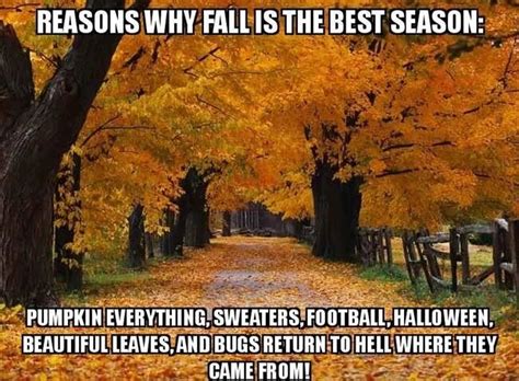 We did not find results for: 20+ Best First Day of Fall Funny Memes & Images to Get ...