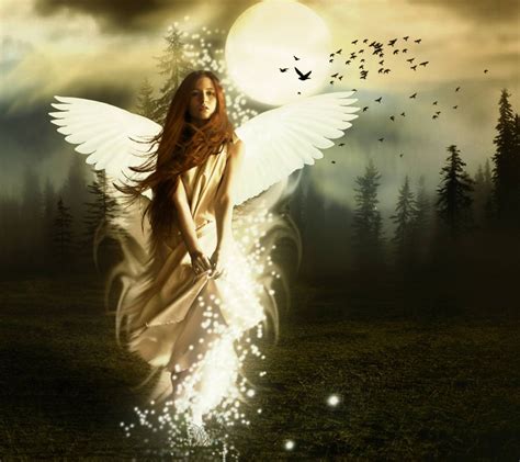 download midnight angel wallpaper by ilovedub4 5c free on zedge™ now browse millions of