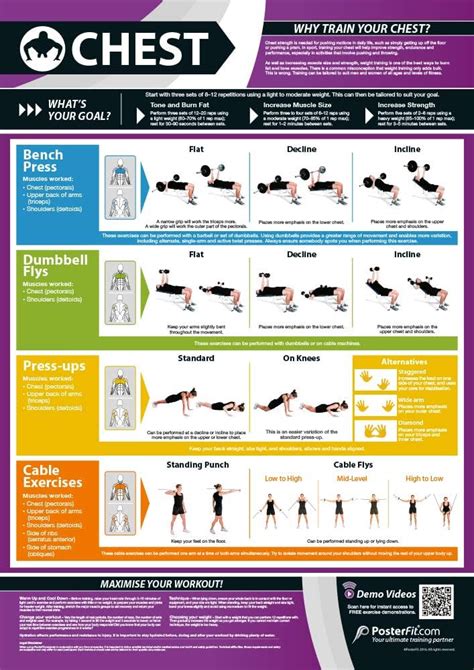 An Illustrated Chart Of The Best Chest Exercises Chest Workout Chest Workouts Best Chest