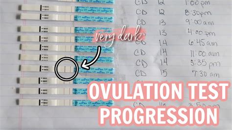 Ovulation Test Line Progression How To Read Ovulation Tests Know