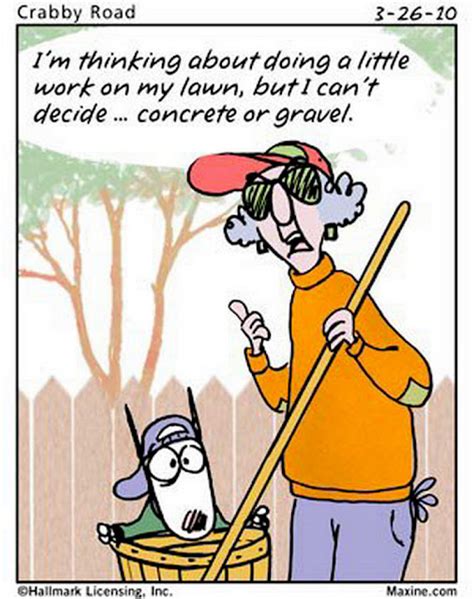 Chucks Fun Page 2 Some Mildly Amusing Maxine Cartoons