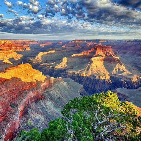 10 Things To See And Do In Grand Canyon National Park