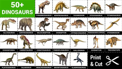 More Than 50 Dinosaurs Cards Pictures And Names Memozor