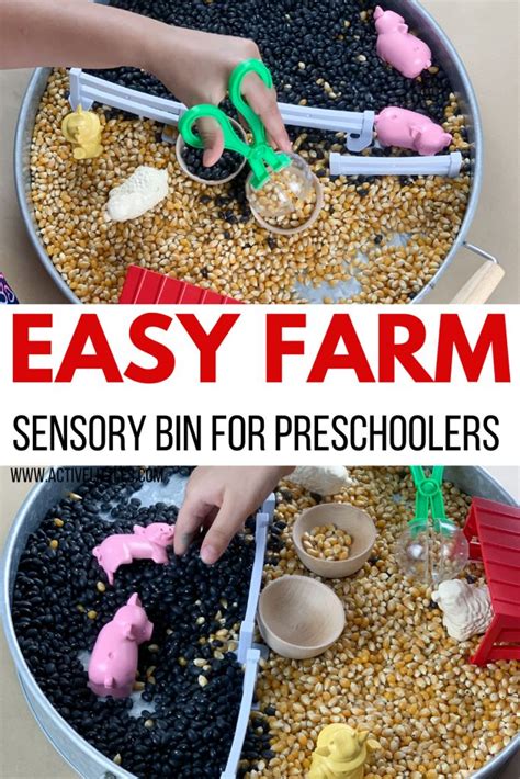 Easy Farm Sensory Bin For Preschoolers Active Littles Farm Sensory