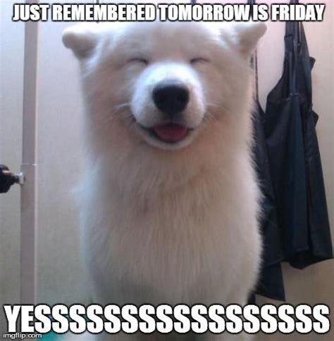 Its friday i must dance! Just Remember Tomorrow Is Friday Pictures, Photos, and ...