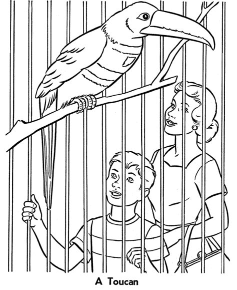 There is a vast collection of zoo coloring pictures. printable coloring pages of a bird cage | Zoo animal ...