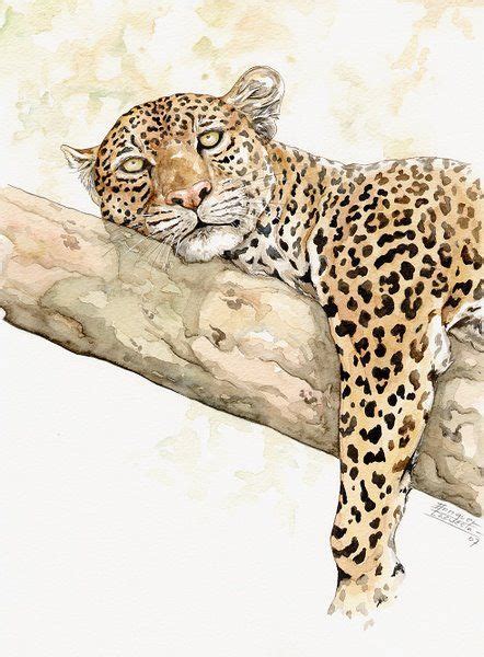 Enrique Lacuesta Leopard Leopard Painting Leopard Art Leopard