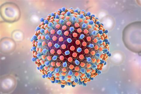 Hepatitis C Virus Hcv Scheda Virologica Ed Approfondimenti