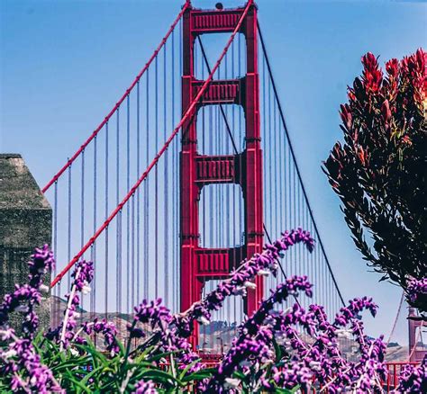 San Francisco Itinerary 4 Days Amazing Attractions And Things To Do