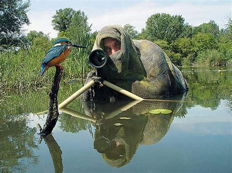 Photographes Animaliers ‹ Ray Mond Photographie