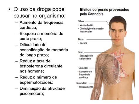 Sala De Recursos Iepic Prevenção As Drogas 44352 Hot Sex Picture