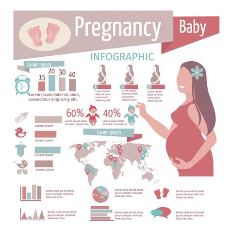 Pregnancy Infographics Set 462115 Vector Art At Vecteezy