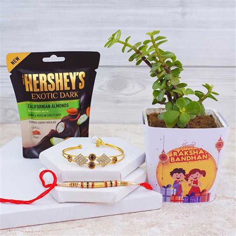 Send Combo Of Bhaiya Bhabhi Rakhi With Hershey Chocolate N Jade Plant