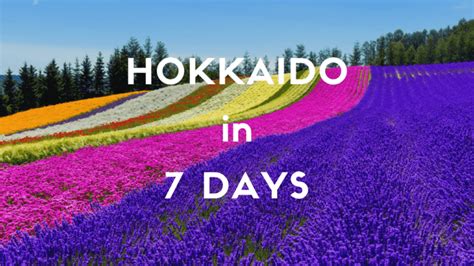 1 Week Itinerary In Hokkaido In Summer Japan Web Magazine