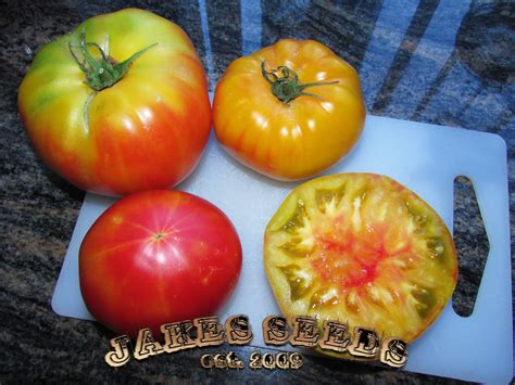 Mr Stripey Heirloom Tomato Jakes Seeds
