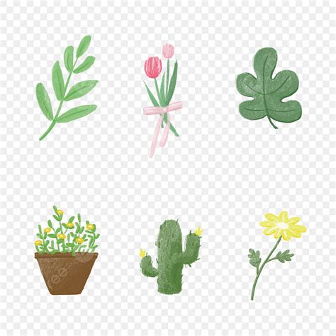 Pegatinas De Plantas Flores Y Hojas Png Planta Flores Plantas En