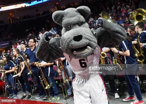 Gonzaga Mascot Spike Photos And Premium High Res Pictures Getty Images
