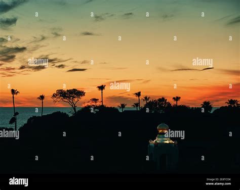 Southern California Ocean Sunset Silhouette With Palm Trees Stock Photo