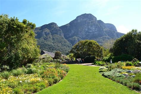 The Kirstenbosch Botanical Gardens All You Need To Know Tickets N Tour