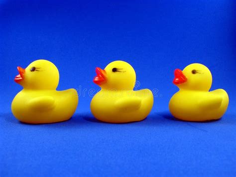 Three Rubber Duckies Stock Image Image Of Ducky Three 8365975
