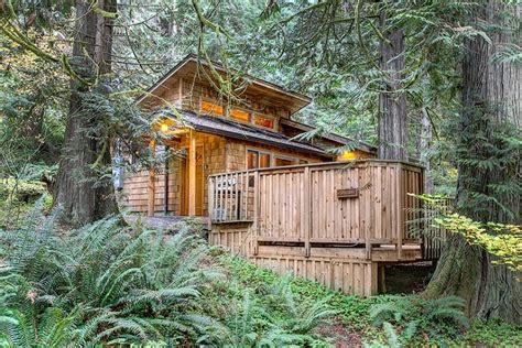 Deep Forest Cabins Visit Rainier