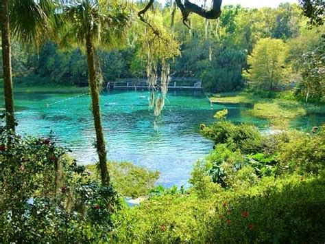 Rainbow Springs State Park Dunnellon All You Need To Know Before You Go