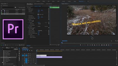 This is all about how do you add subtitles to a movie using the different ways and programs. How to Add Subtitles to a 360 Video in Premiere Pro | CC ...