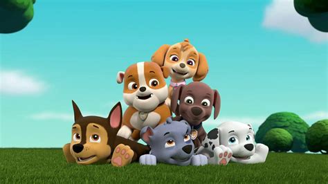 Paw Patrol Pups Skye Paw Patrol Pound Puppies Boeing Dog Pictures