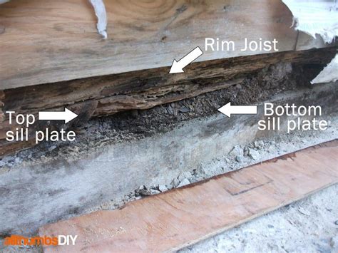 How I Replaced A Rotted Rim Joist And Sill Plates Part 4 Of 4