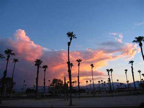 Palm Trees Are Silhouetted Against The Sky At Sunset
