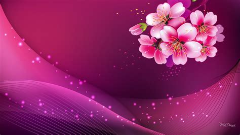 Widescreen Pink Background Hd Image Pc Colour Pink