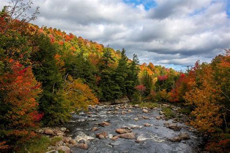 gorgeous fall foliage 3 upstate ny towns named among best 50 leaf peeping spots