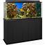 Best 55 Gallon Fish Tank Stands Reviews & Buying Guide 2021