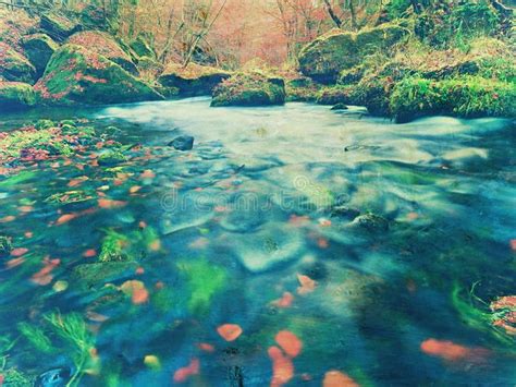 Fall At River Colors Of Autumn Mountain River Stock Image Image Of