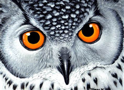 Eagle Owl Acrylic Painting By Mandarinmoon On Deviantart