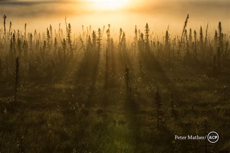 The Peel River Watershed The Endangered Wilderness Of Canadas Yukon National Geographic