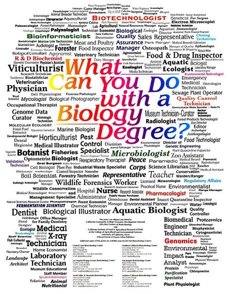 What Can I Do With Biology Degree