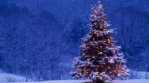 Christmas Tree With Snow Easy Christmas Ts Winter Wonderland My