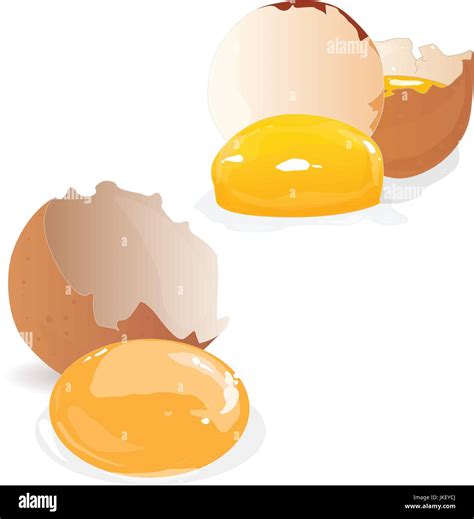 Broken Egg Isolated Illustration Set On White Stock Vector Image And Art