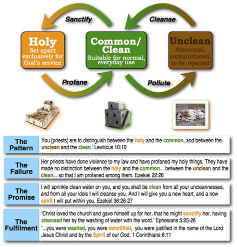 A Brief Guide To The Theology Of Clean Unclean And Holy Christian