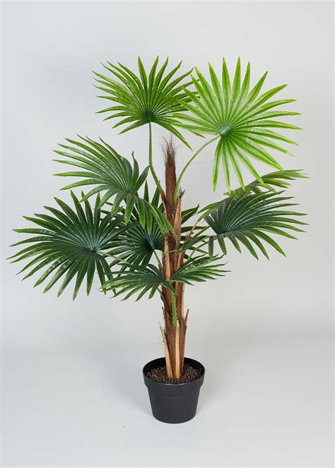 Homeware Buy Home Furnishings And Accessories Online Mini Palm Tree