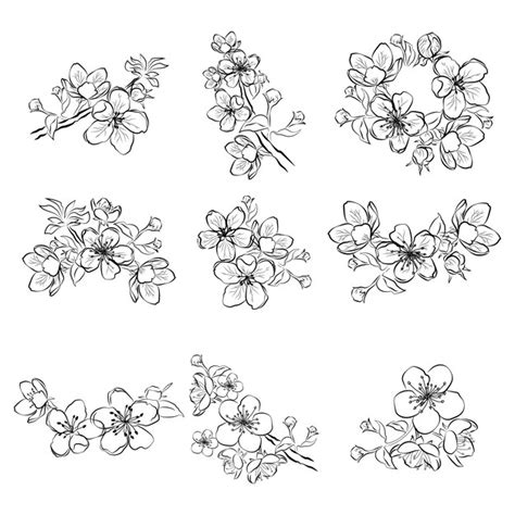 Premium Vector Set Of Cherry Blossoms Collection Of Flowers Of