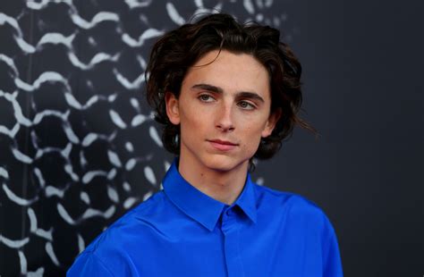 This Is How Timothée Chalamet Would Change The World If He Were King Icon