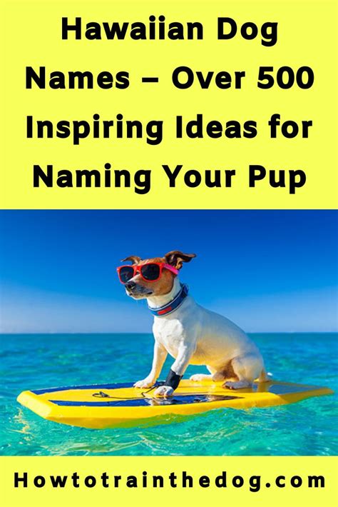 Hawaiian Dog Names Over 500 Inspiring Ideas For Naming Your Pup