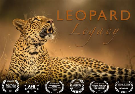 Leopard Legacy Into Nature Productions Wildlife Films