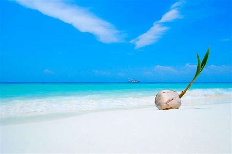 LANG TENGAH ISLAND, MALAYSIA - Era Holidays