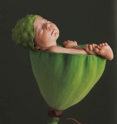 Rare Images Anne Geddes Released For The First Time Nz Herald