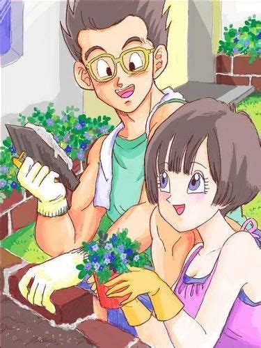 fan art of gohan and videl for fans of dragon ball love dragon ball super dragon ball z videl