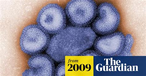 First Human Trials Of Swine Flu Vaccine Begin In Australia Swine Flu