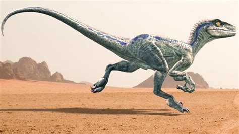 Velociraptor Running Animation Blue Raptor From Jurassic World Youtube